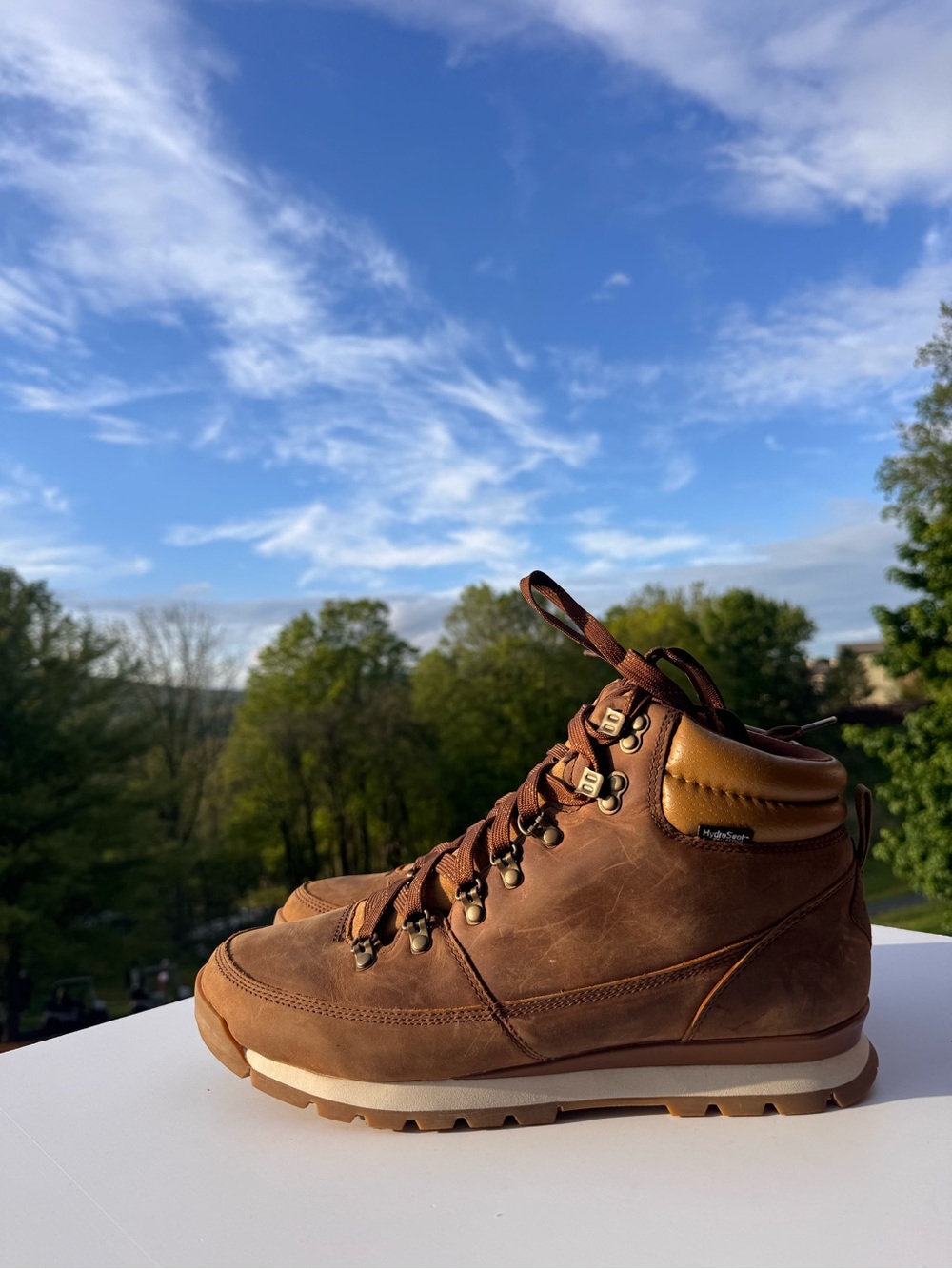 The North Face HydroSeal Leather Hiking Boots Brown Men’s US 10.5 / EU 44